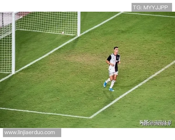 突尼斯与波多黎各精彩对决比分揭晓赛场瞬间回顾 突尼斯与波多黎各精彩对决比分揭晓赛场瞬间回顾