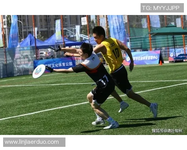 飞盘热潮下的速度之争北京飞盘队的竞技表现引发热议