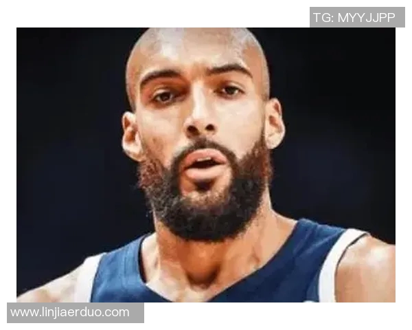 鲁迪戈贝尔在NBA的防守艺术与进攻潜力全面解析 鲁迪戈贝尔在NBA的防守艺术与进攻潜力全面解析