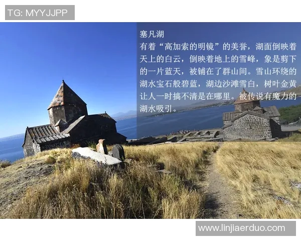 探索阿拉巴的魅力与文化深度，揭开这片土地的历史与未来发展之路